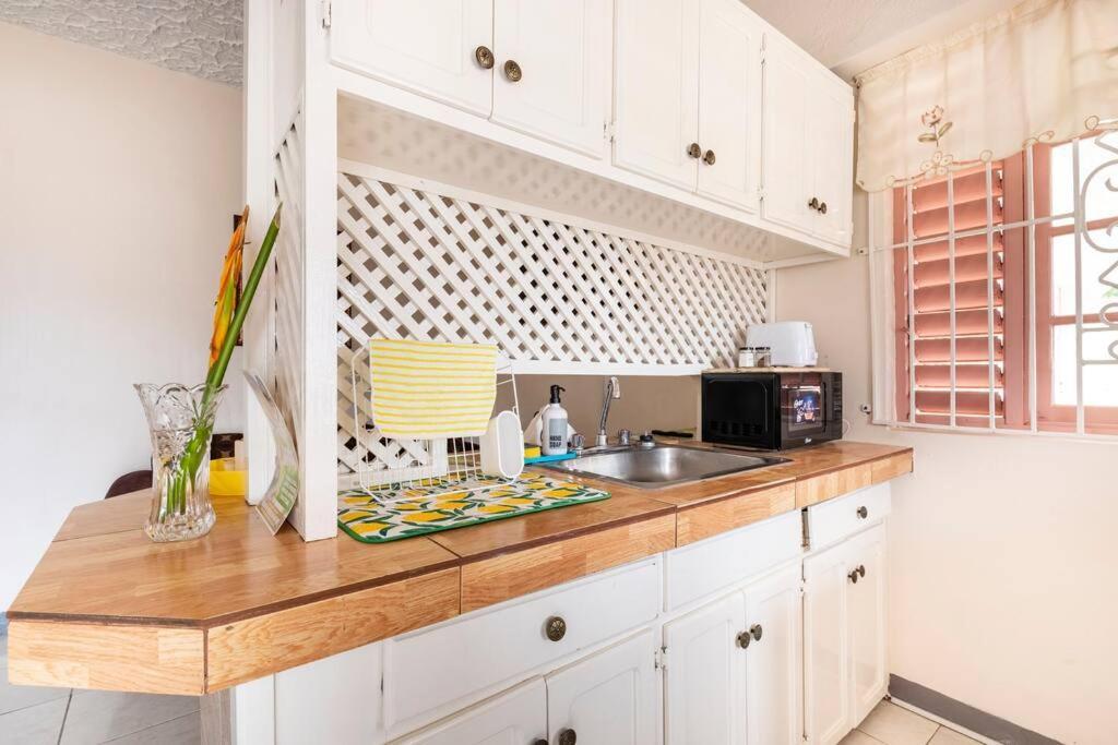 Shaw Park Gem Apt 12A Очо Риос Екстериор снимка