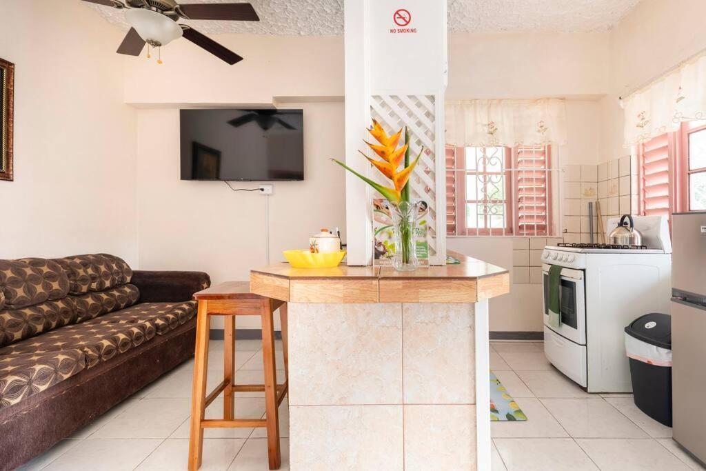 Shaw Park Gem Apt 12A Очо Риос Екстериор снимка